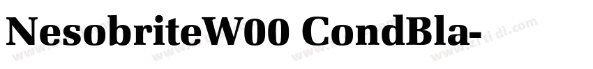 NesobriteW00 CondBla字体转换